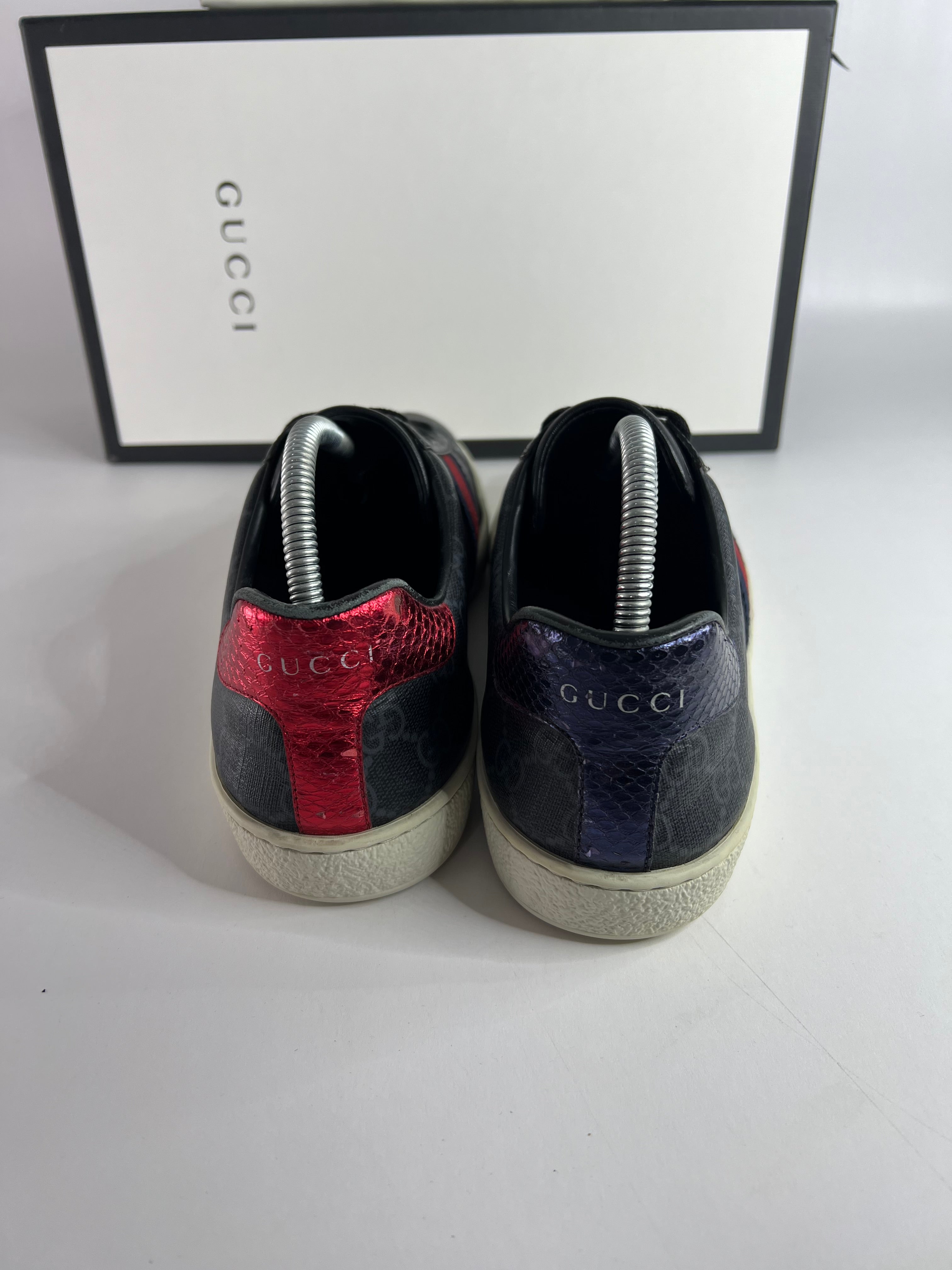 Gucci Ace