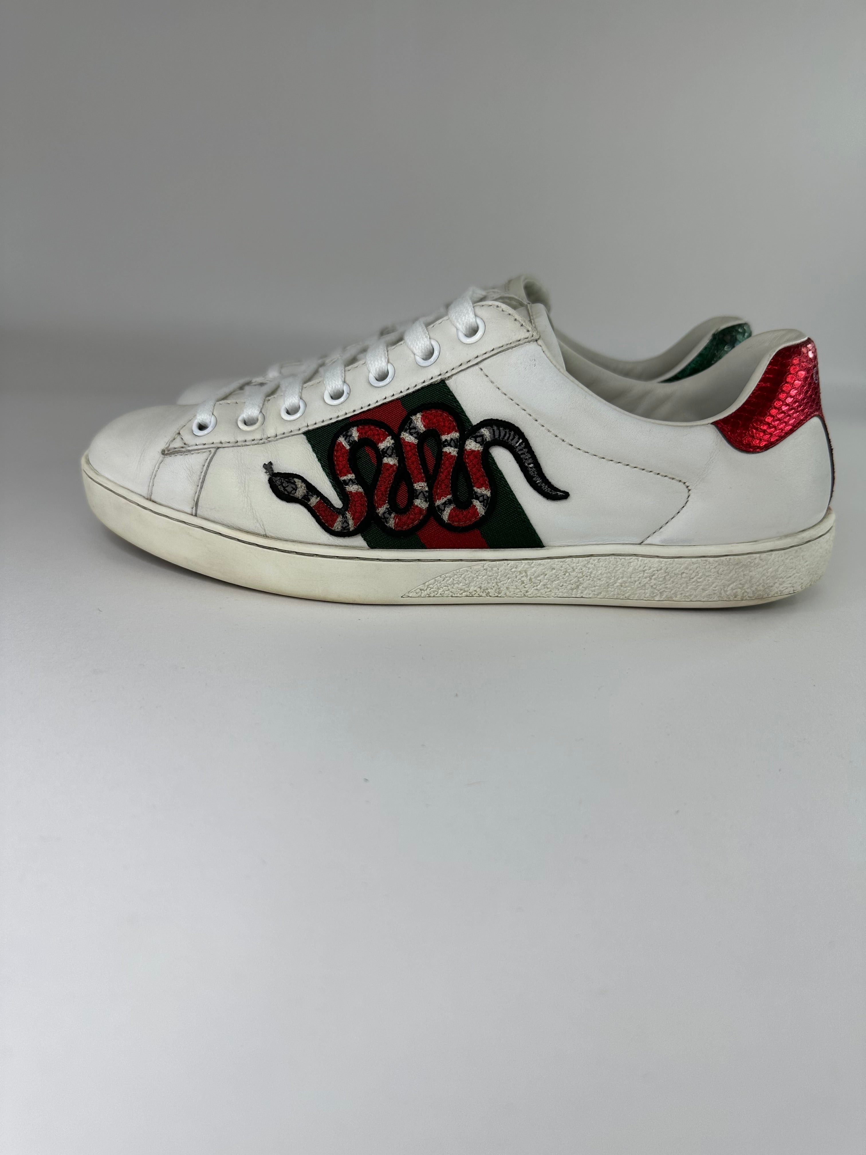 Gucci Snake