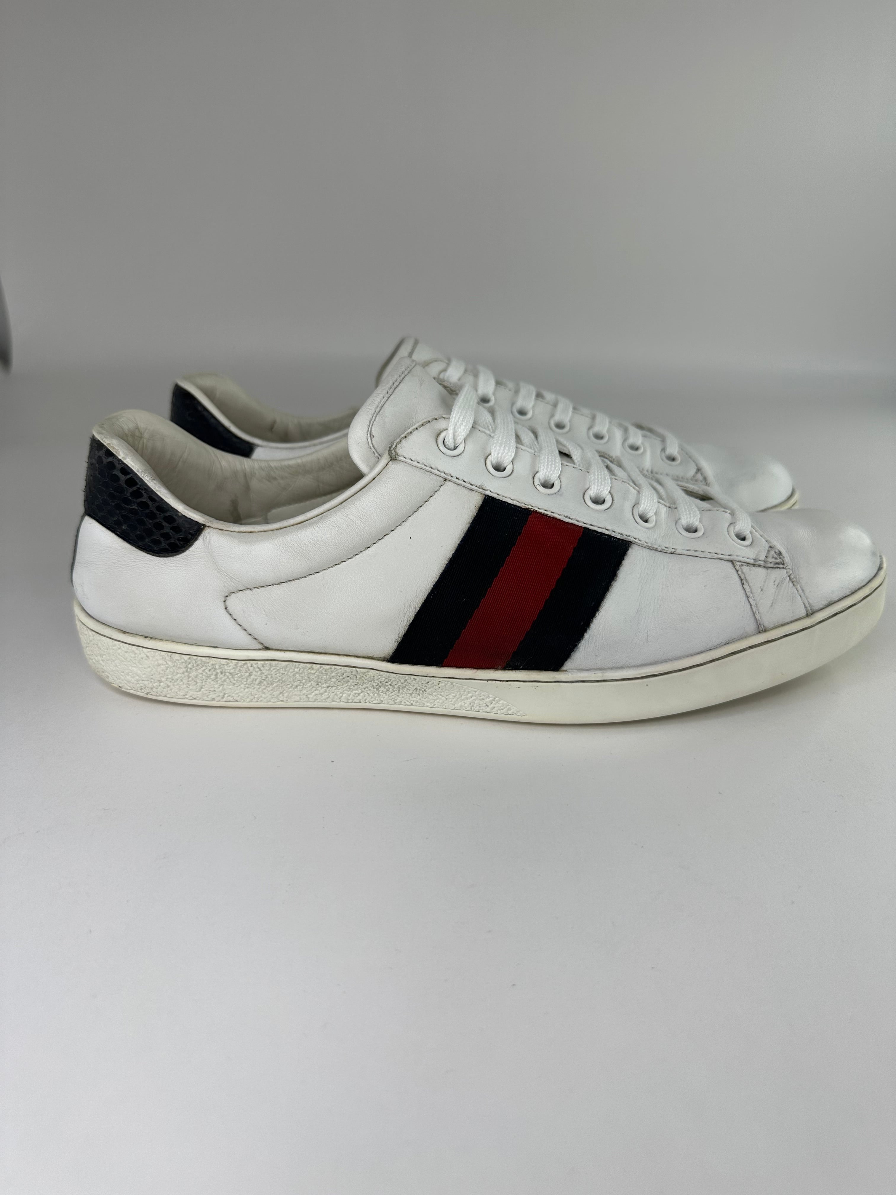 Gucci Ace