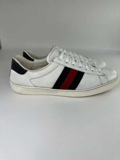 Gucci Ace skor UK10-44